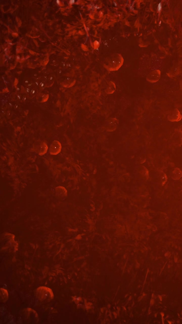 Scena subacquea con meduse e luce rossa fioca in un oceano scuro