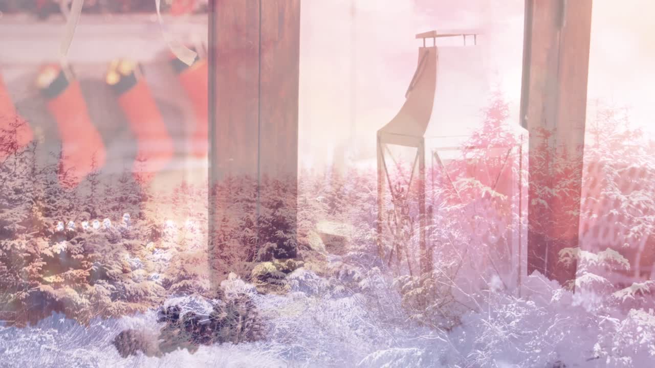 크리스마스 에 장식 된 집 위 에 있는 소나무 의 애니메이션