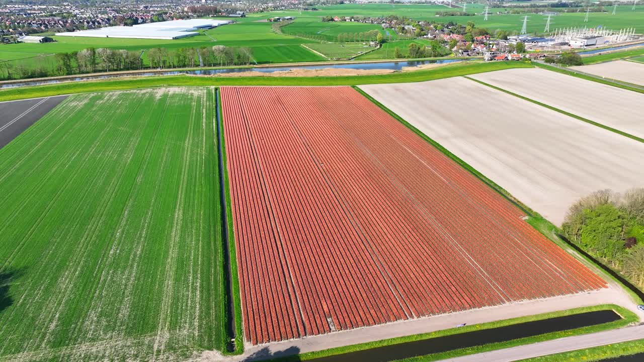 네덜란드의 다채로운 립  위로 드론 비행