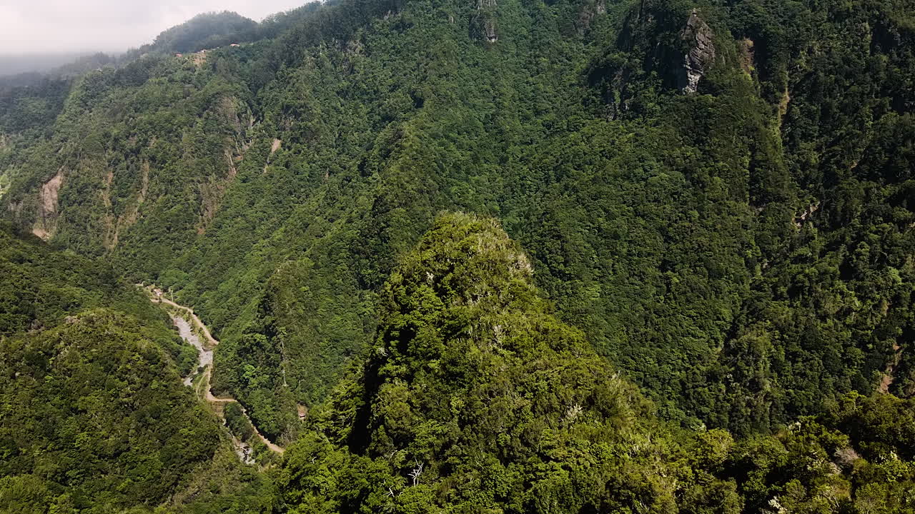 naturaleza de madeira - bosque tropical exuberante en la isla de madeira portugal - toma aérea de drones
