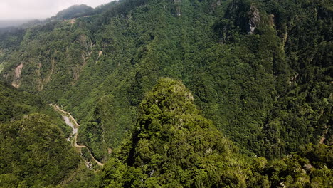 Naturaleza-De-Madeira---Bosque-Tropical-Exuberante-En-La-Isla-De-Madeira-Portugal---Toma-Aérea-De-Drones