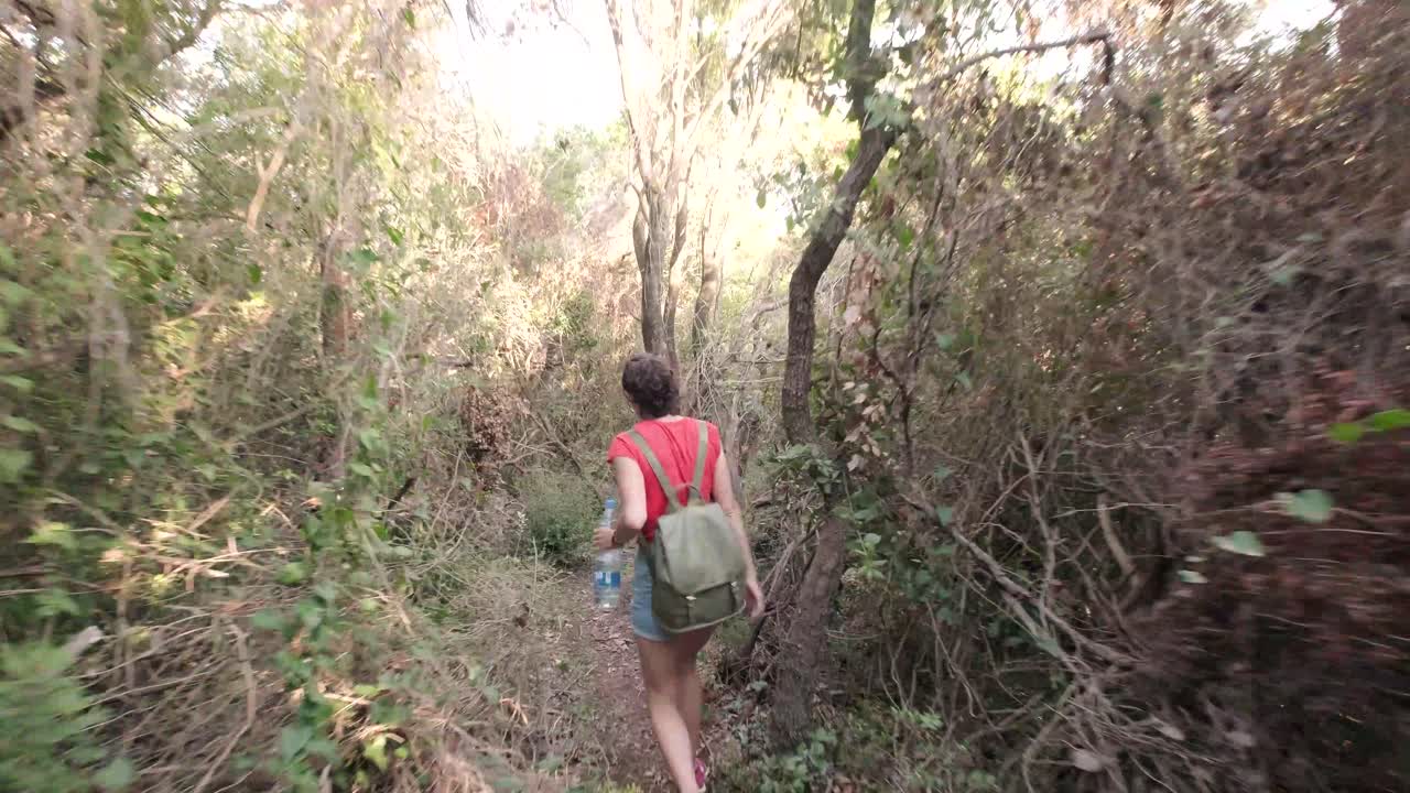 casco antiguo de budva en montenegro en la costa del océano adriático en un día soleado