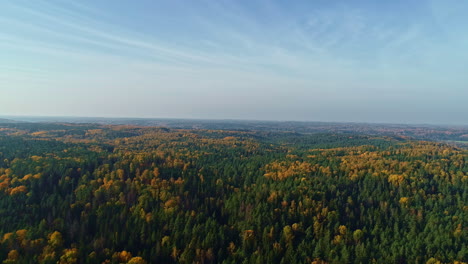 Aerial-view-of-spring-green-forest-in-clear-weather