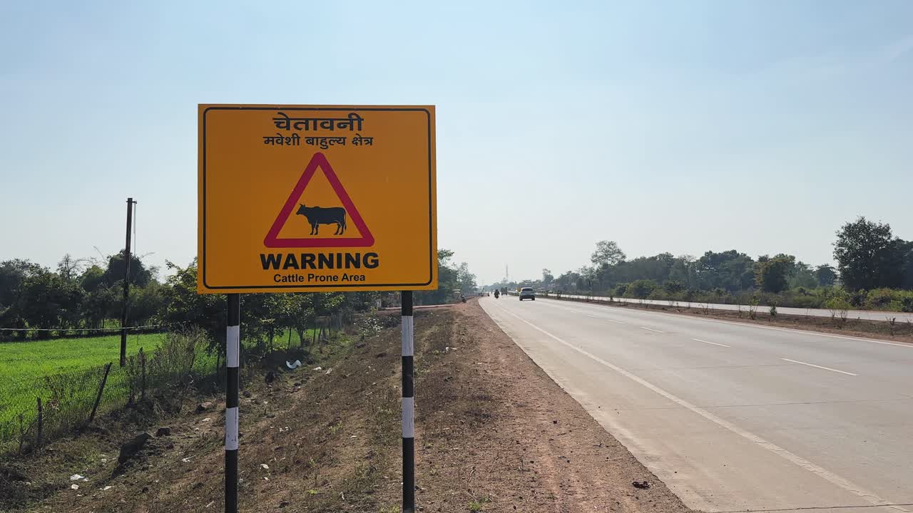 Static mid shot of a roadside warning sign indicating a cattle crossing zone beside an open highway, emphasizing road safety awareness in a rural landscape during daylight