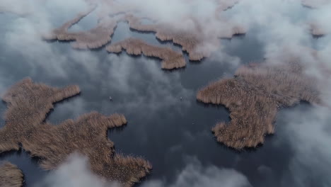 aerial view of misty wetlands with reed islands