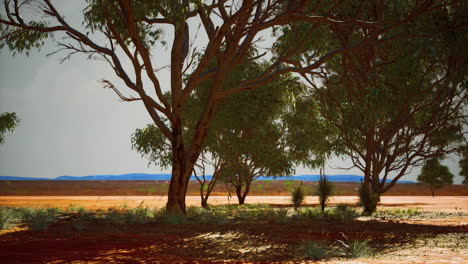 dry african savannah with trees