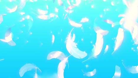 flying feather [loop]