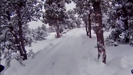 point of view of cross counry skiing on a snowy trail