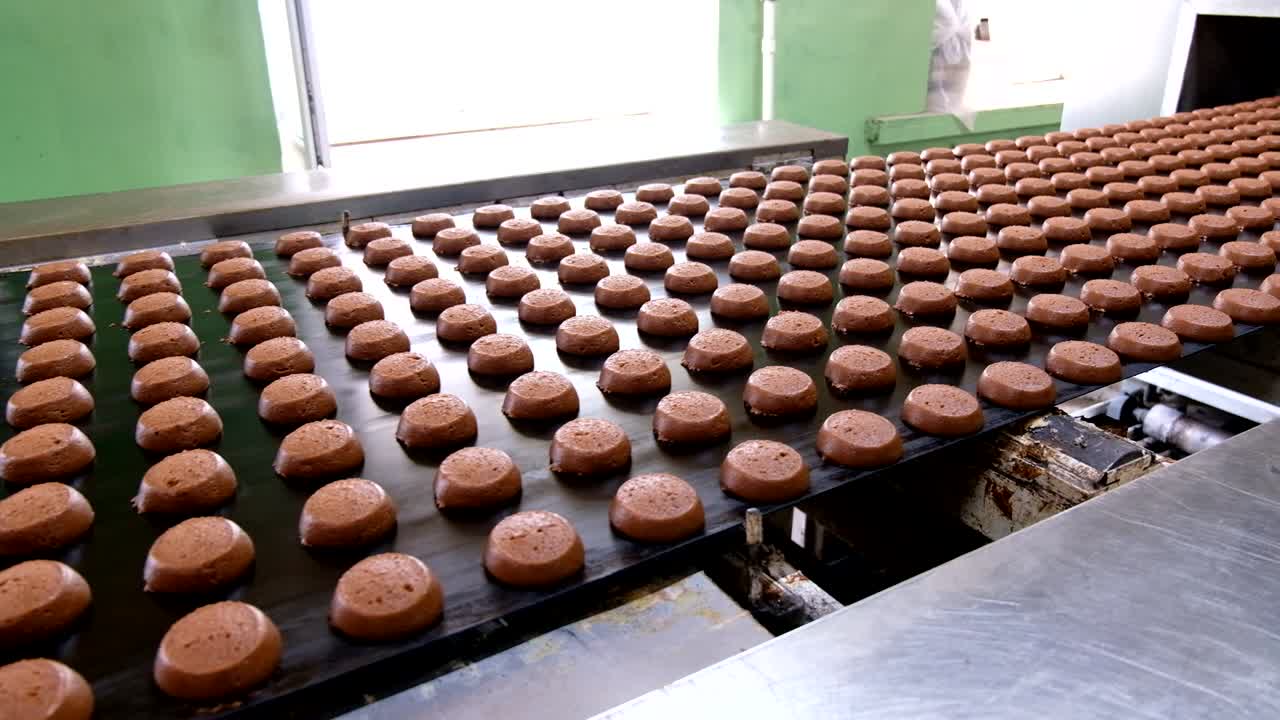 línea de producción de horneado. galletas crudas sin cocer después de la formación de ir al horno por el transportador