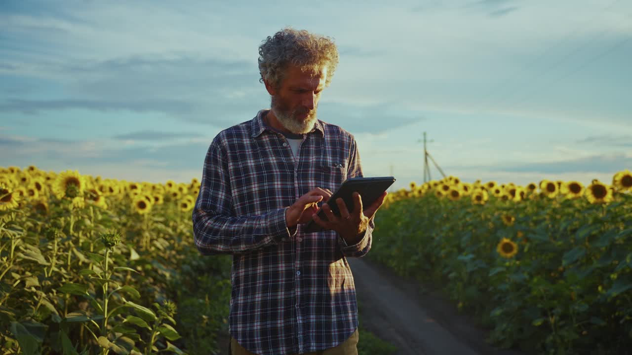 Farmer Using Tablet in Sunflower Field