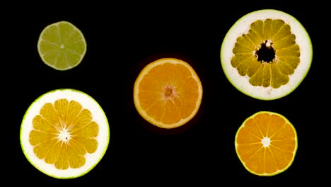 las rebanadas de cítricos de primer plano. fondo de la comida de verano. limón, lima, pomelo, pomelos, frutas de naranja. aisladas, en fondo negro, vista superior. girar