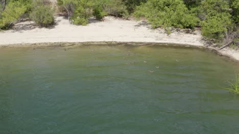 Un-Hermoso-Disparo-Aéreo-De-Drones,-Drones-Volando-Hacia-Atrás-Desde-Una-Playa-Y-Revelando-Montañas-En-El-Lago-Skinner---Temecula---Condado-De-Riverside---California