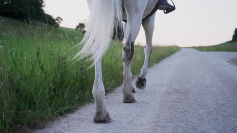 close-up of a white horse's hooves at a walk