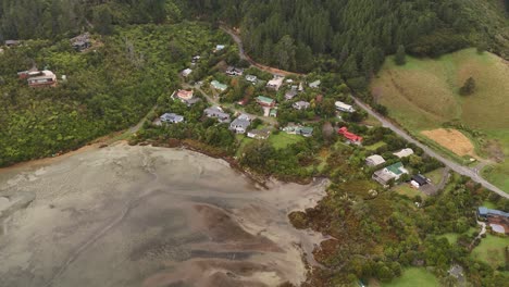 secluded coastal community of whatamango bay during low tide, forest near picton, south island, new zealand. aerial top-down view