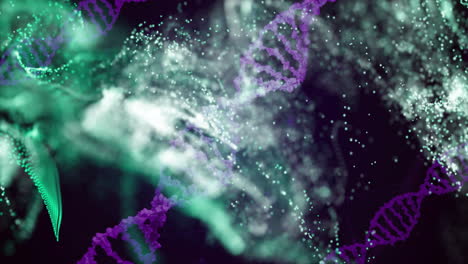 dna strands and molecular particles animation over green and purple background