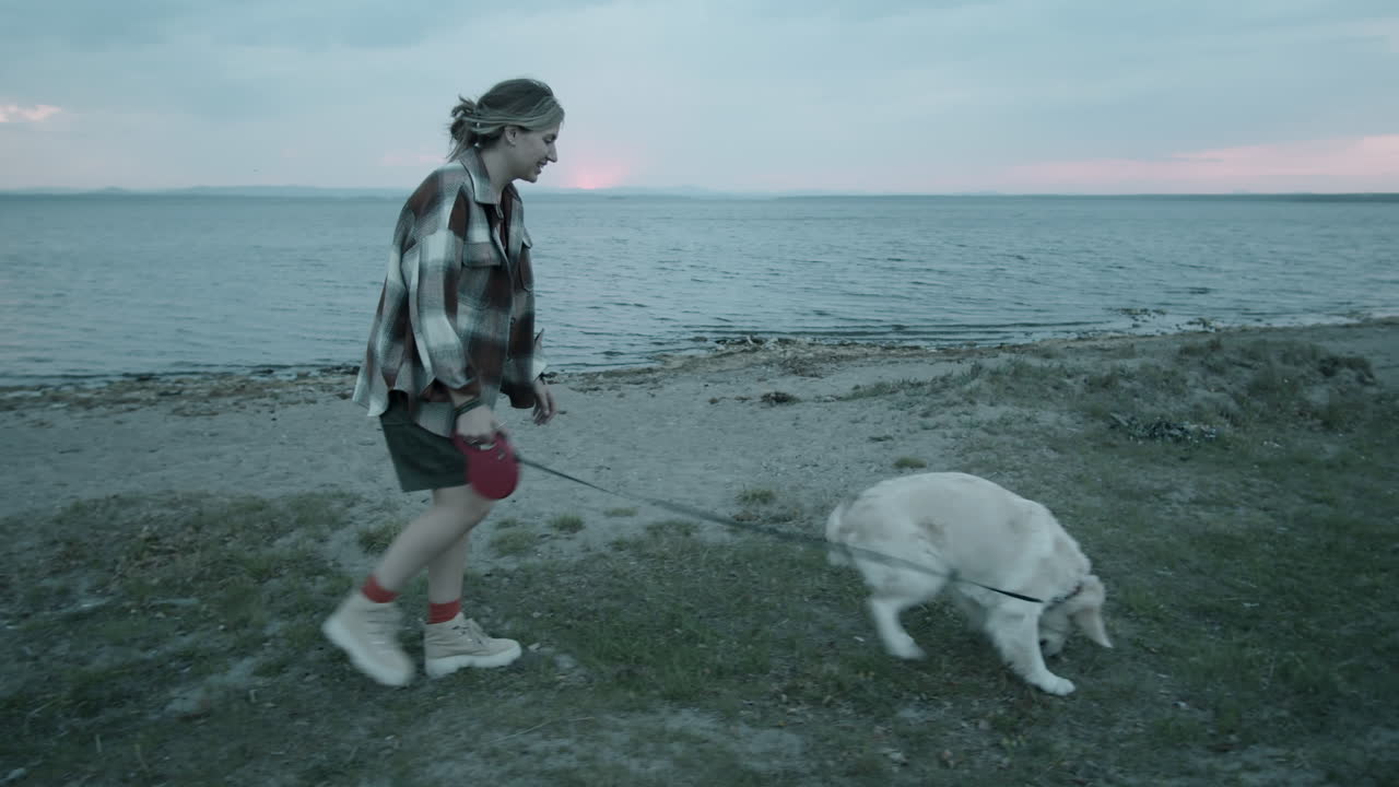 저녁 에 호수 에 있는 개 와 함께  ⁇ 고 있는 여자