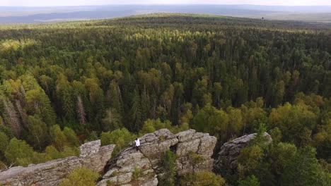 aerial view of mountainous forest landscape with person on rocks