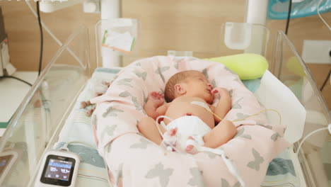 baby in hospital incubator