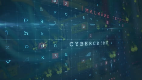 animación del texto del ataque cibernético y procesamiento de datos a través del servidor