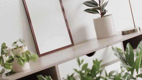 wooden frame with copy space on white background with plants on desk against white wall