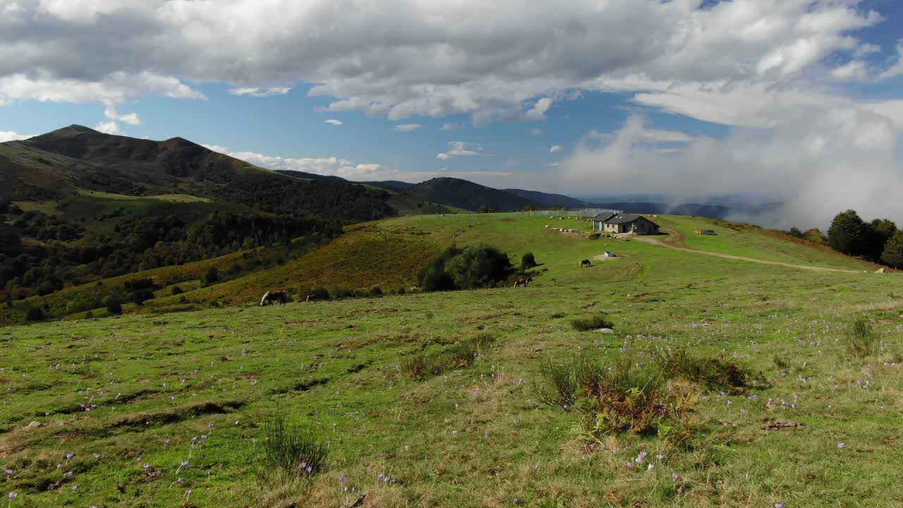 drone volando bajo sobre campos verdes de la meseta de prat d'albis, pirineos en francia