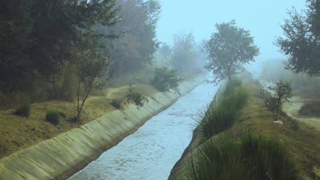 Agua-Corriente-En-Un-Canal-De-Riego-A-Través-De-La-India-Rural-Cubierta-De-Niebla-En-Una-Mañana-Fría-Y-Brumosa-En-Dholpur-Rajasthan-De-La-India