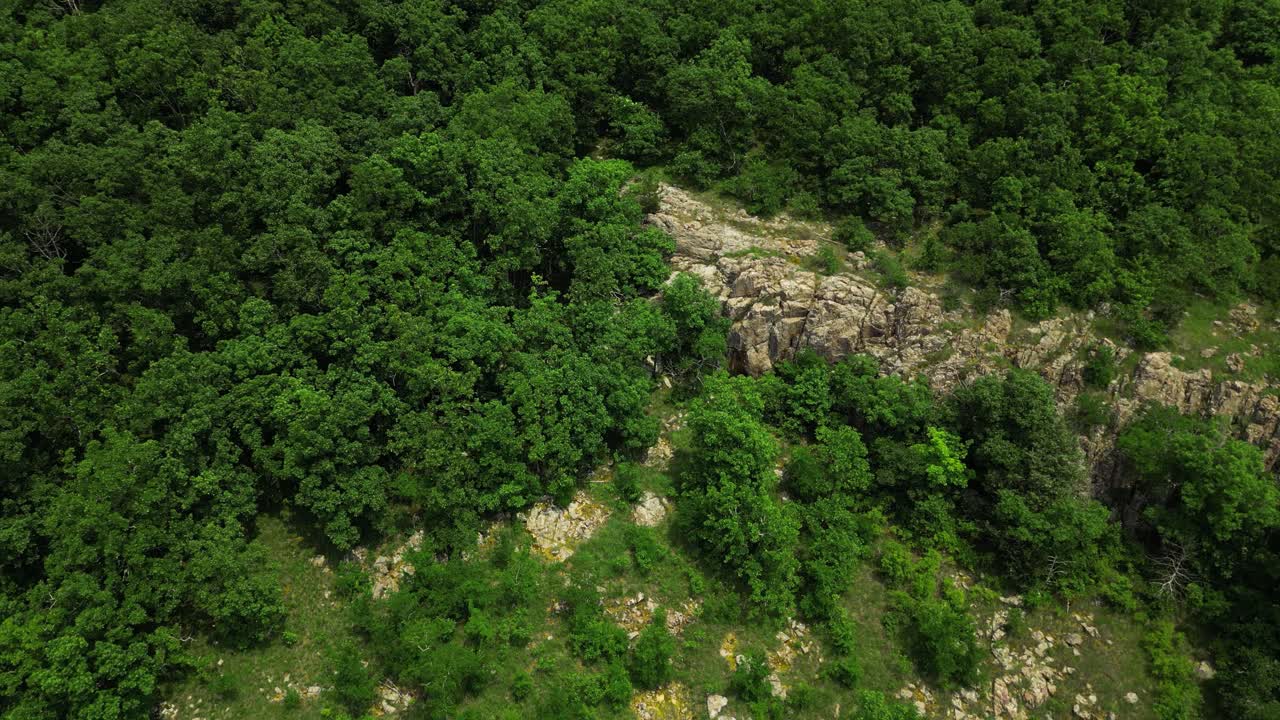 Drone shot of a rocky ridge along the slopes of Taum Saulk Mountain in Missouri. The lush summer forest frames the rocky outcropping. The sun is shining on this summer day