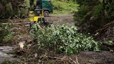 truck and excavator behind fallen logs and trees on muddy hillside access road