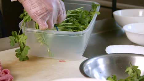 masterful chef selects parsley: authentic chinese prep