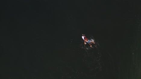 aerial: surfer paddling to surf breaking wave then pulling out, bird's eye view