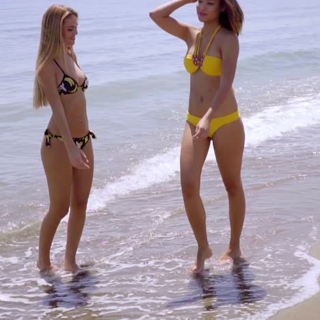 Two-attractive-women-strolling-along-a-beach