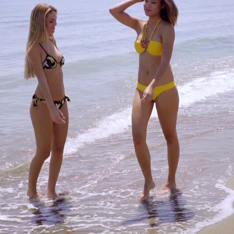 two attractive women strolling along a beach