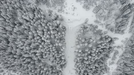 ski lift transporting skiers over the snowy mountain with trees in mestia, svaneti, georgia - aerial shot