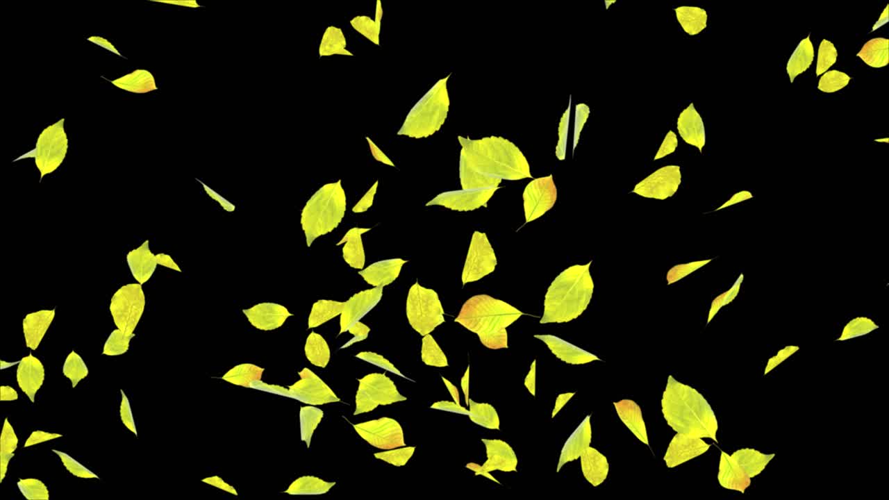 Abstract fresh green baby spinach leaves falling in slow motion loop animation channel green leaves