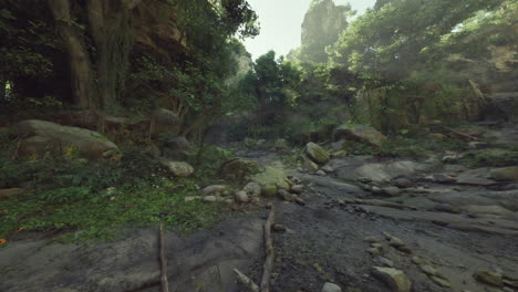 a lush green forest path with a stream running through it