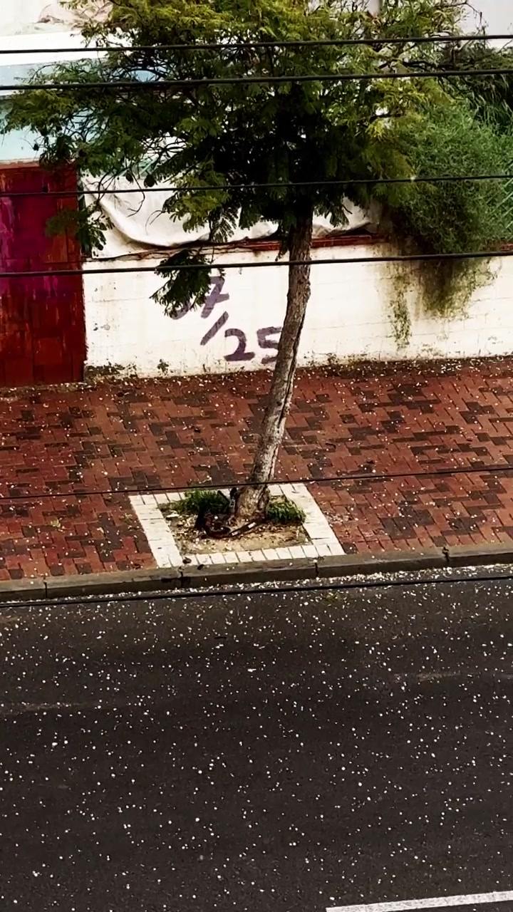 Hail collecting on urban street and sidewalk