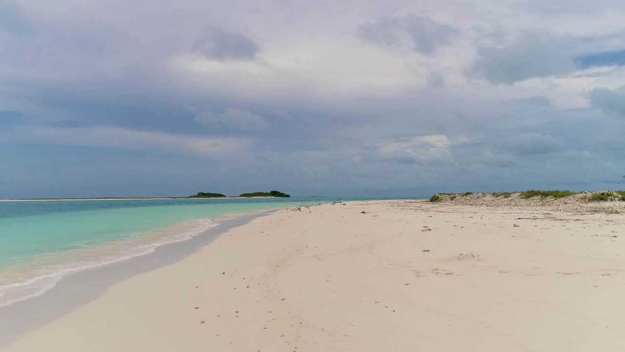 포브 워치 화려한 외로운 해안 해변 바다 새와 함께  ⁇  모래 섬, 로스 로켄스