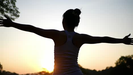 silhouette of a free-spirited individual embracing the evening sunset, signifying freedom, joy, and a connection with nature in a serene outdoor setting