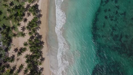 Samana-Bay-Mit-Klarem-Türkisfarbenem-Wasser,-üppigen-Palmen-Und-Sanfter-Brandung,-Luftaufnahme