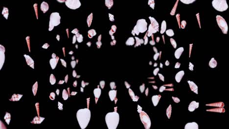 flying many sea shells on black background. collection of realistic shellfish. tropical underwater. 3d loop animation of shells rotating.