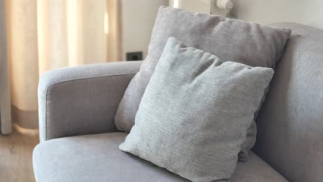 modern grey sofa with pillows in living room at home high quality photo