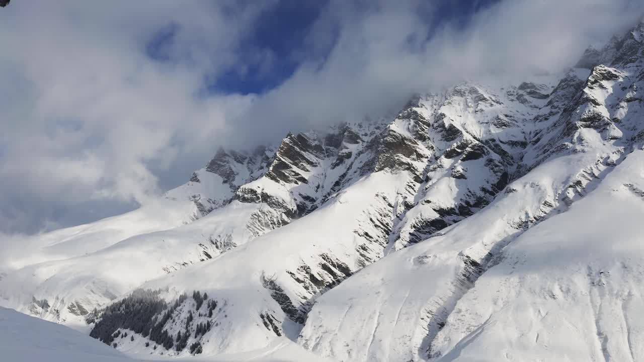 la escena llena de niebla captura los pinos de montaña cubiertos de nieve
