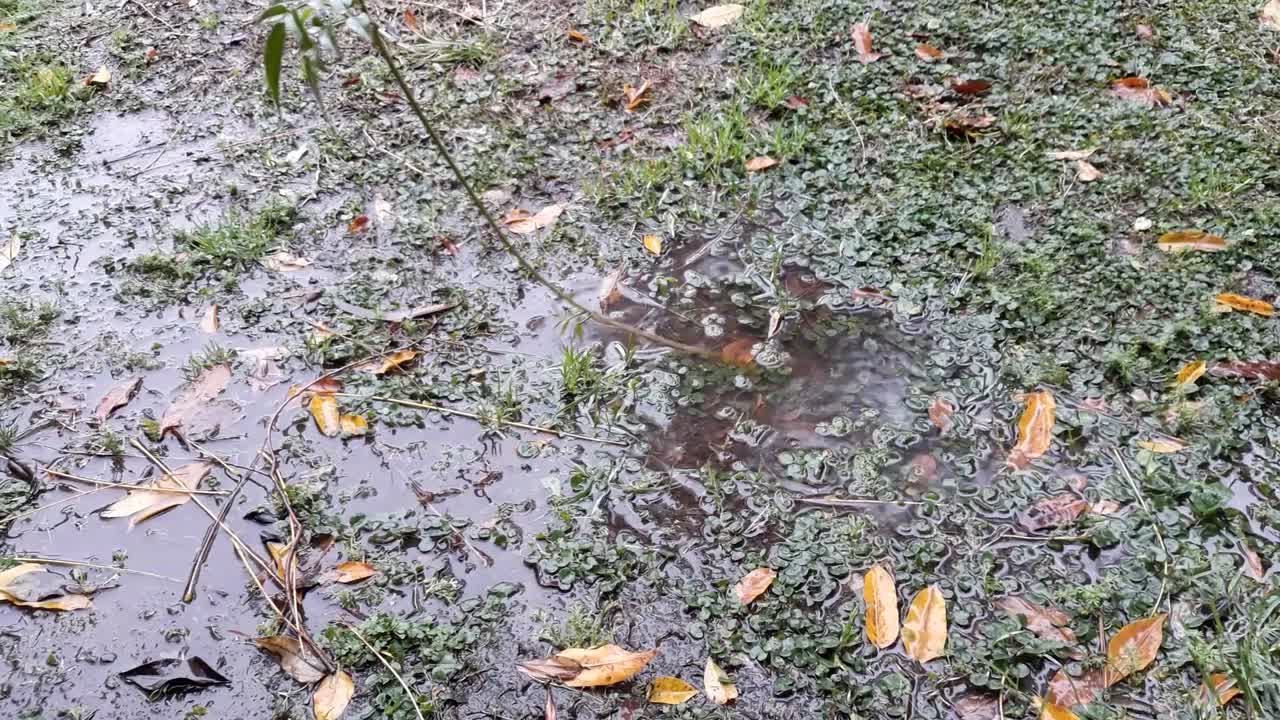 Beautiful rain in San Vicente