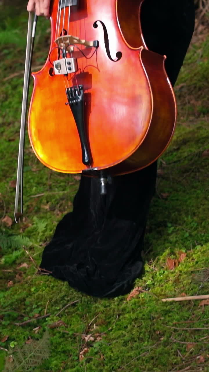 Woman with cello in the forest. Beautiful woman professional musician with cello outdoors
