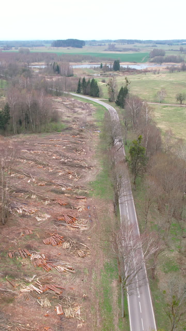 High angle drone shot showing extensive logging and wood removal in a forest area adjacent to a country road. Ideal for environmental impact and timber industry content