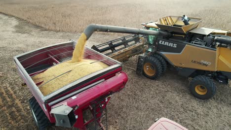 A-combine-in-Wisconsin-transfers-his-load-of-soybeans-to-an-open-trailer