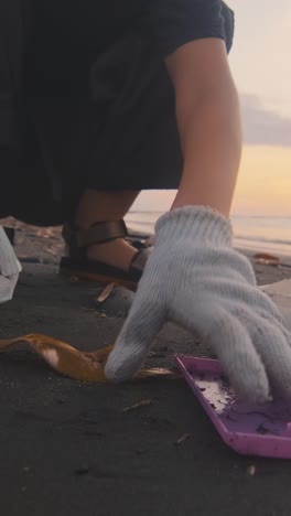 volunteers join forces to clean pollution along the serene coast at sunset