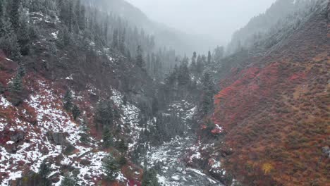 Aerial-Crane-Up-shot-of-heavy-Snowfall-near-the-Manalsu-River-in-a-Valley-with-huge-Pine-Trees-in-Manali-Himachal-Pradesh-shot-with-a-drone-in-4k