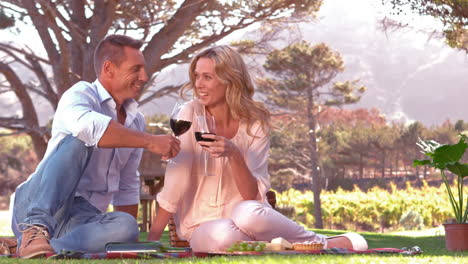 smiling couple toasting on picnic blanket in slow motion