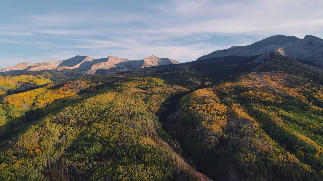 álamos tembloses girando en kebler pass, colorado